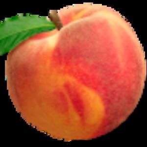 Meet your Posher, Aydn